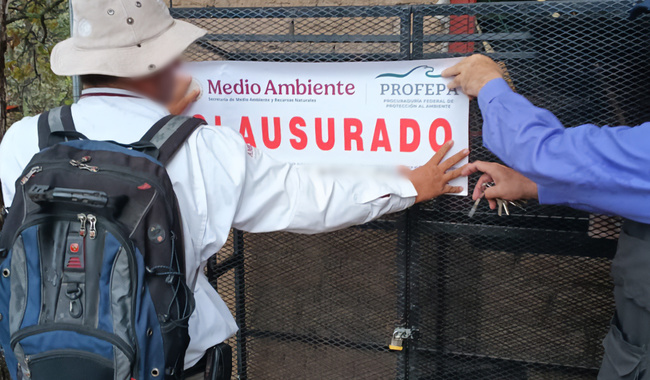 Imagen de la nota: Profepa informó la clausura temporal de obras en Sierra Fría 🌳