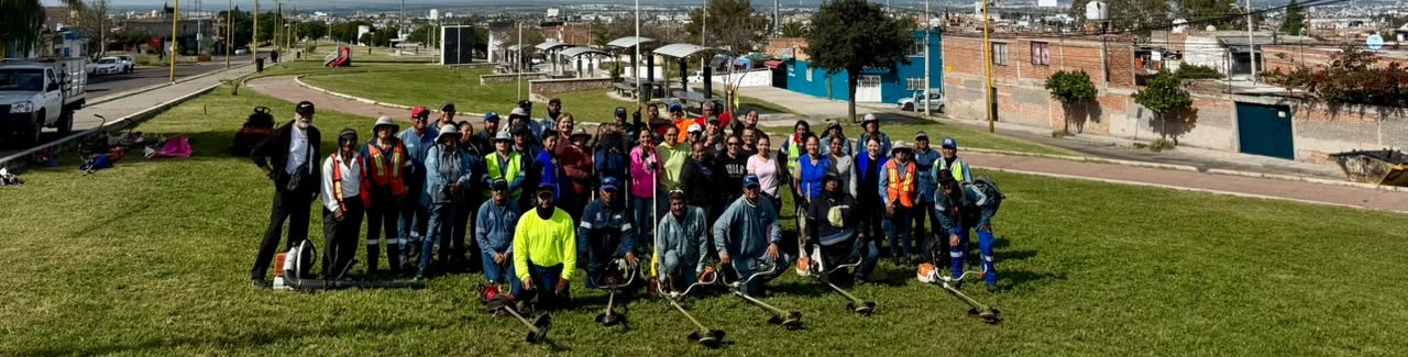Imagen de la nota: La Línea Verde tendrá jornadas de mantenimiento cada martes 🌿