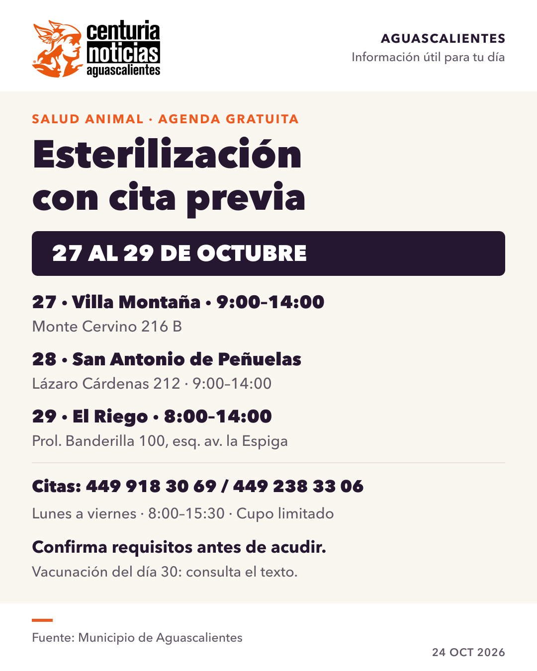 Imagen de la nota: Esterilización gratuita para mascotas: habrá jornadas del 27 al 29 de octubre 🐾